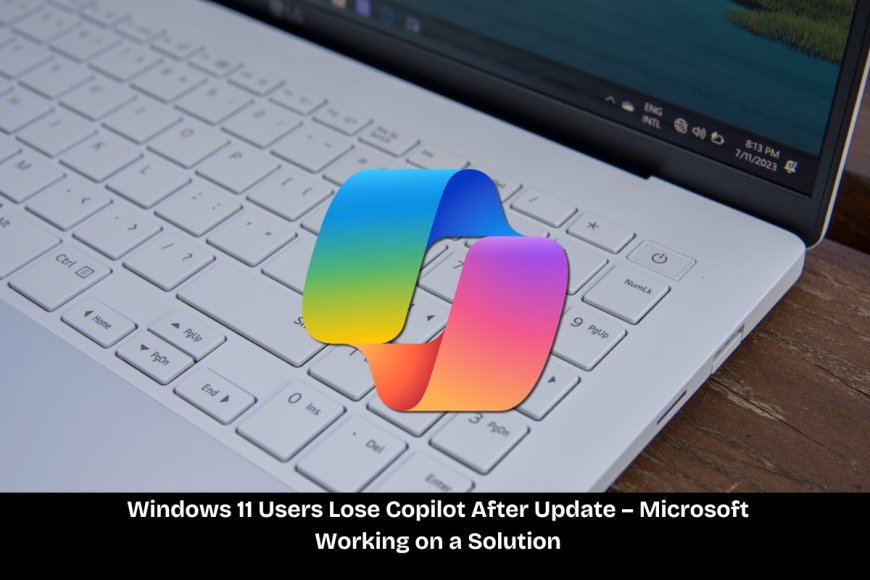 Copilot Disappears from Windows 11 After Latest Update, Microsoft Confirms Issue and Promises Fix