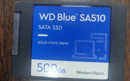 Success Story: 12 Years of Data Recovered After WD SSD Crash at System Tools, Data Recovery BBSR