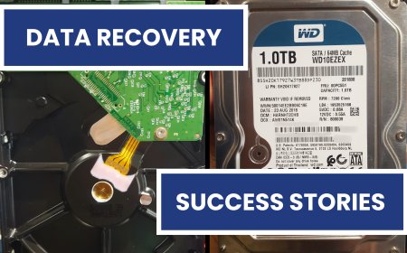 Success Story: 10 Years of Data Recovered from a Non-Detecting WD Internal Desktop Hard Disk