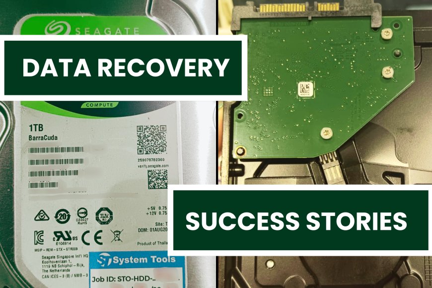Client Success: Non-Detecting Internal Hard Drive Fully Recovered by System Tools