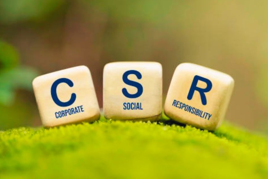 India’s CSR Landscape: Bridging the Gap Between Corporate Profits, Social Responsibility, and Genuine Community Impact