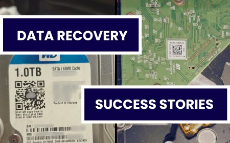 From Non-Detecting to Restored: Professional Data Recovery from WD Internal Desktop Hard Disk