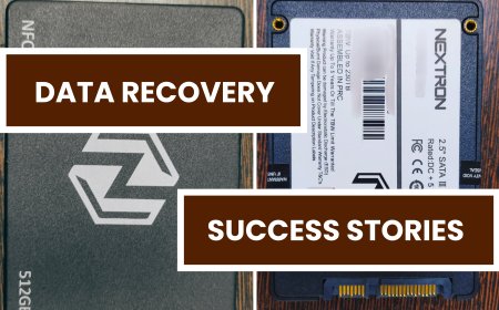 Success Story: Restoring Important Work Files from Non-Detecting Nextron SSD