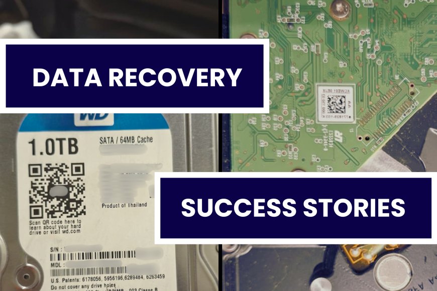 From Non-Detecting to Restored: Professional Data Recovery from WD Internal Desktop Hard Disk