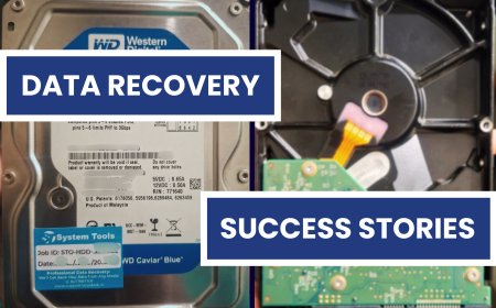 From Data Inaccessibility to Full Restoration: WD Hard Drive Recovery Case