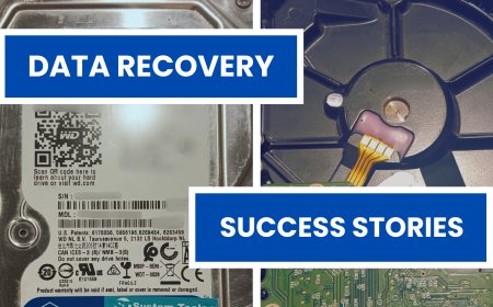 Successful Recovery from a Non-Detecting WD 3.5” Hard Drive Containing Important Client Data