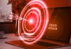 Law Enforcement Take Down Botnets Exploiting IoT Devices for DDoS Attacks
