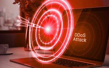 Law Enforcement Take Down Botnets Exploiting IoT Devices for DDoS Attacks
