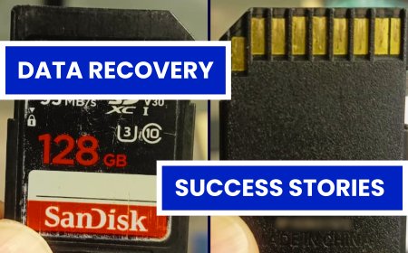 Accidentally Deleted Data? Professional Memory Card Data Recovery Success