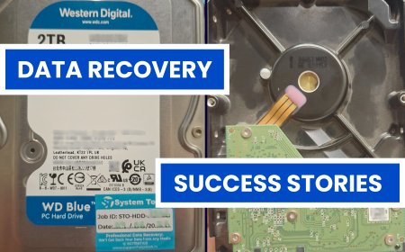 Complete Data Recovery from Non-Detecting WD 2TB Internal Hard Drive