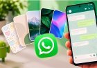 WhatsApp Tests New Chat Themes and Animated Wallpapers on Android